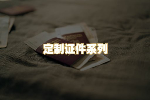 定制证件系列